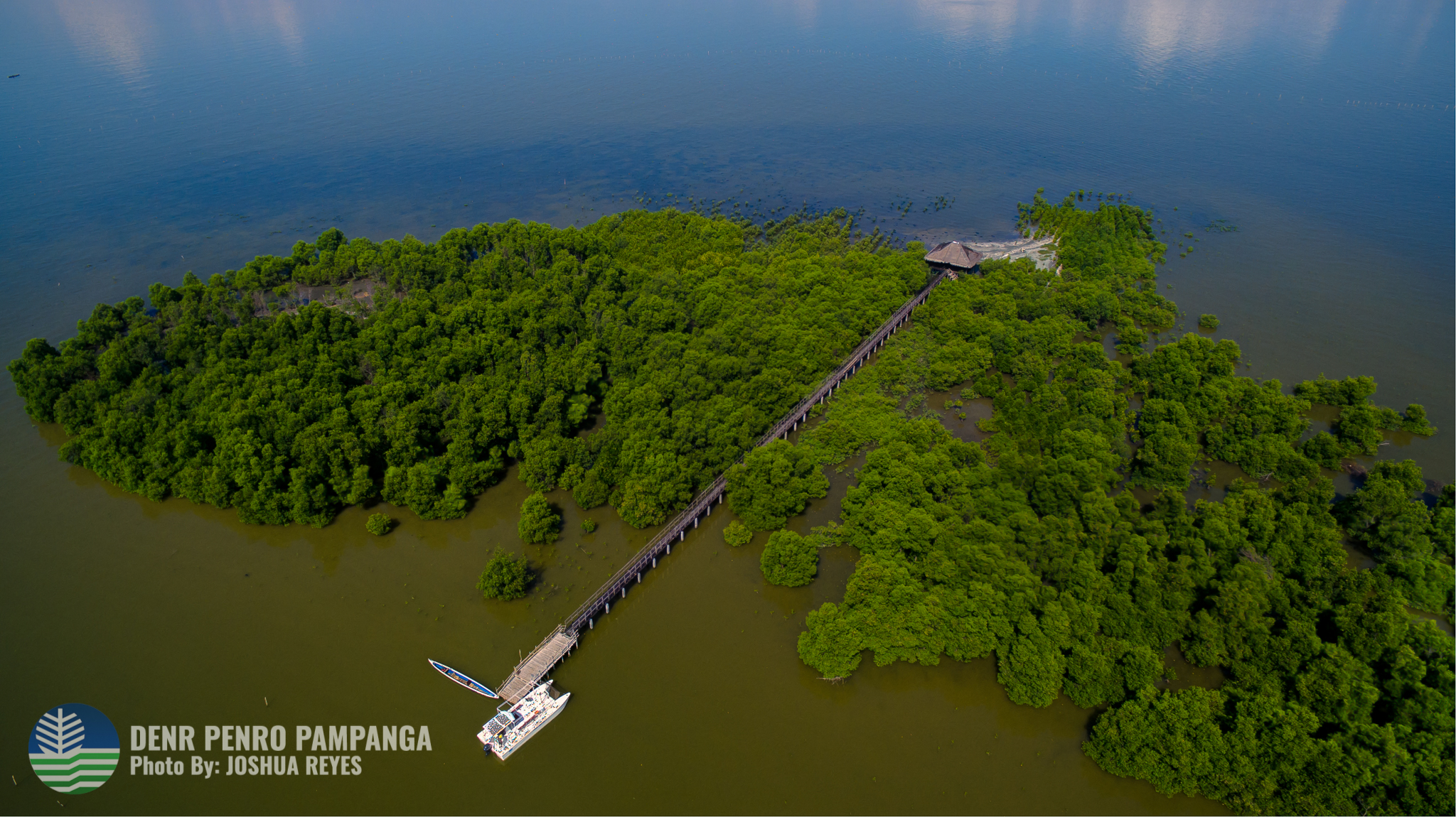 Mangrove Forest within the SPCW